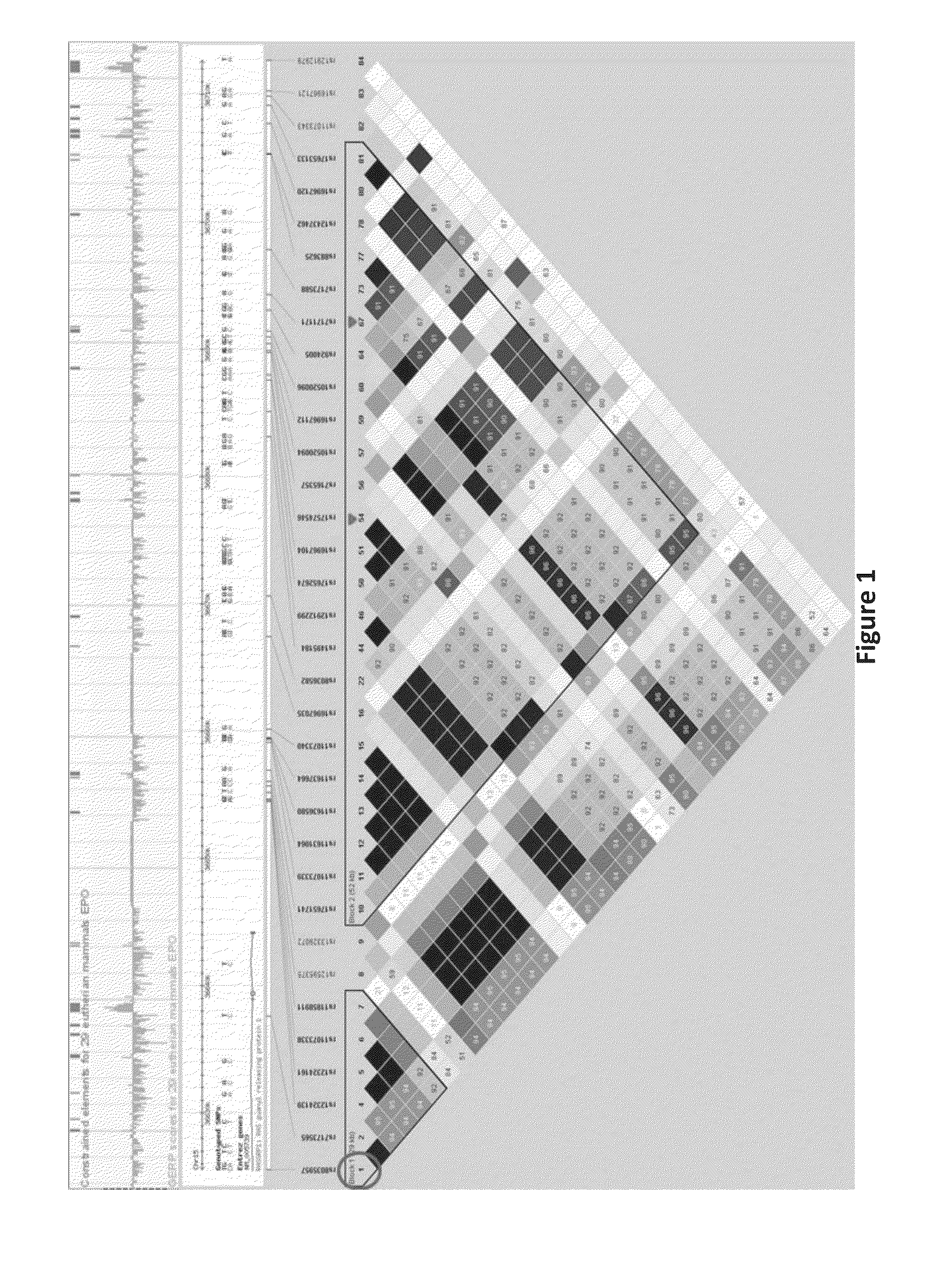 Genetic Alterations on Chromosomes 21Q, 6Q and 15Q and Methods of Use Thereof for the Diagnosis and Treatment of Type 1 Diabetes