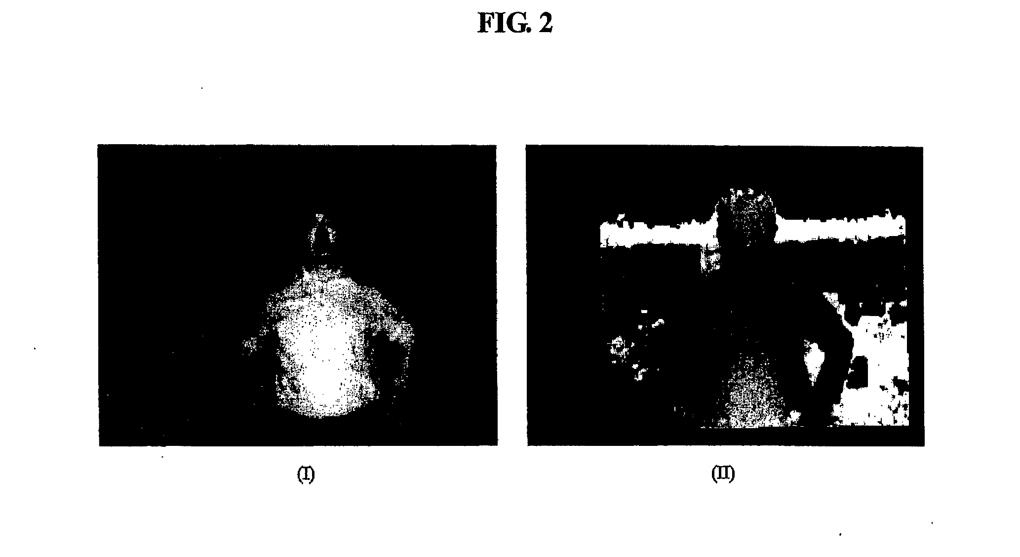 Target analysis apparatus, method and computer-readable medium