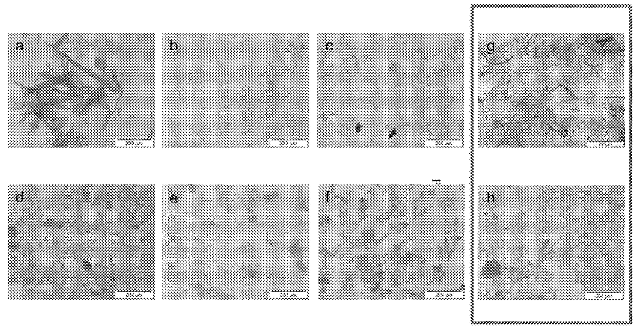 Tobacco-derived nanocellulose material