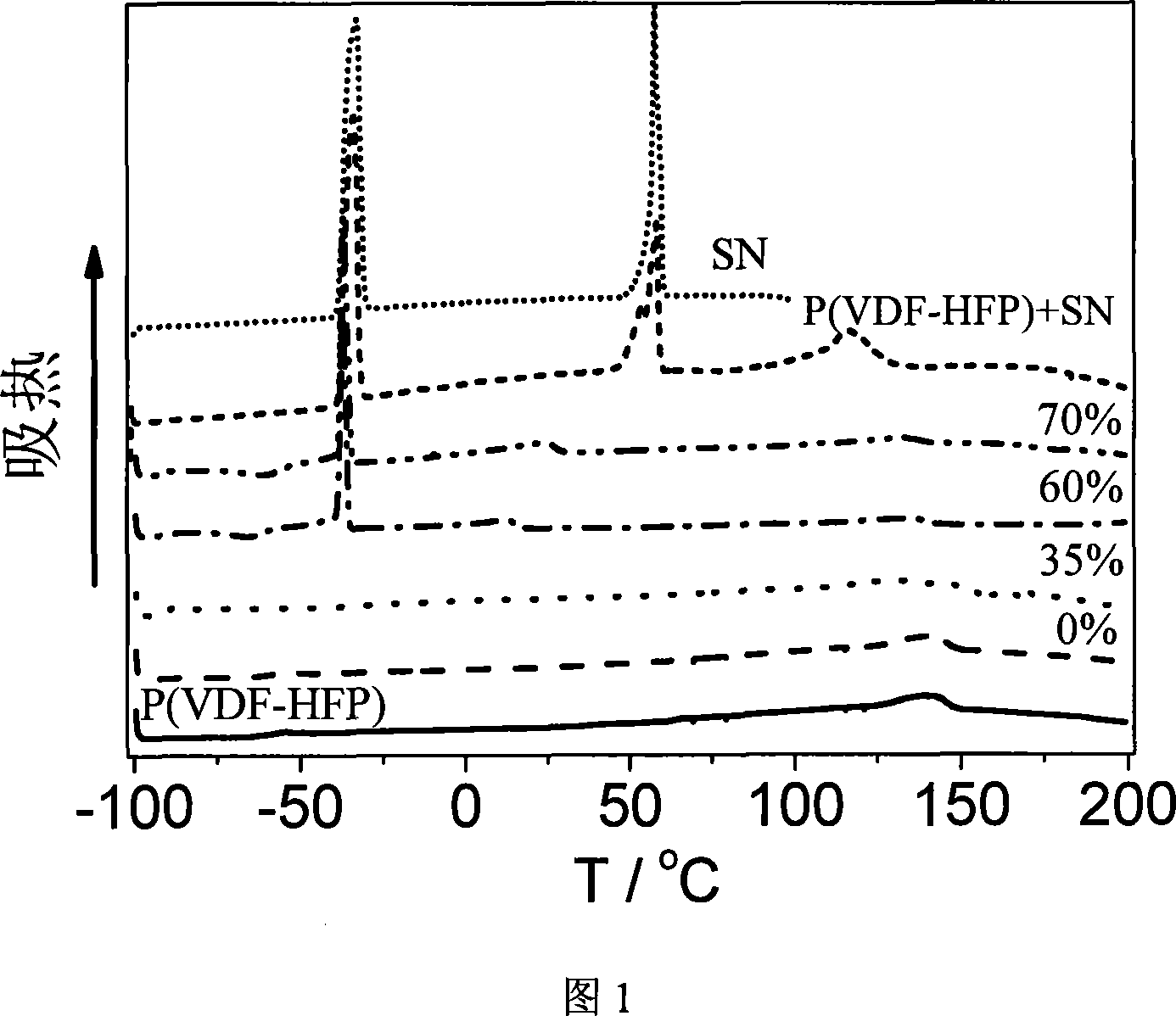 Compound polymer electrolytic material and preparation method thereof