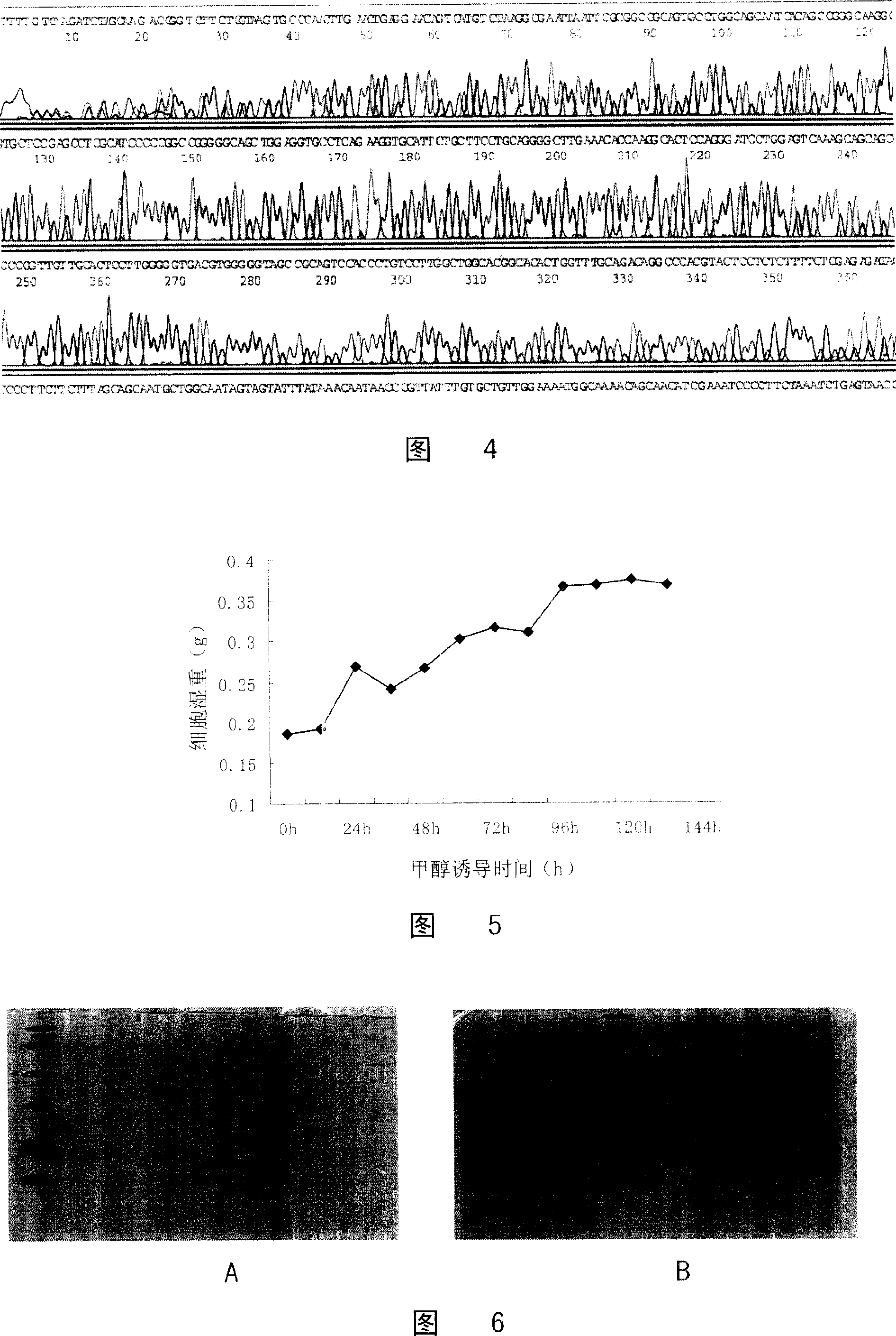 Medicine for curing diarrhea and its preparing process