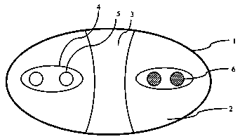 A flat flexible cable