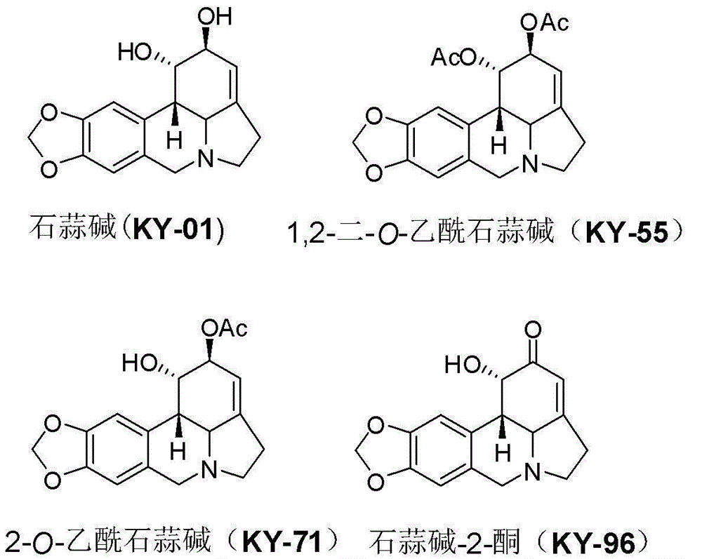 Lycorine derivative, veterinary drug taking lycorine derivative as an active constituent, and applications of lycorine derivative