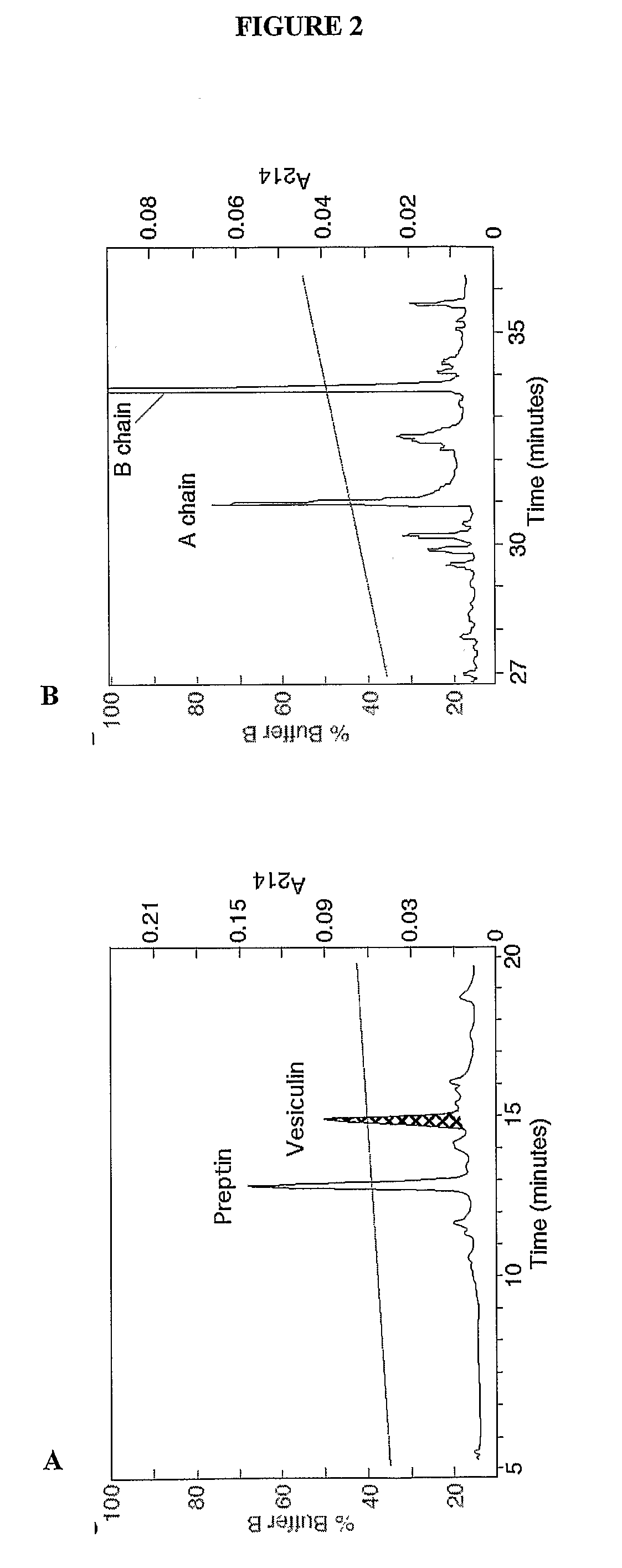 Vesiculins