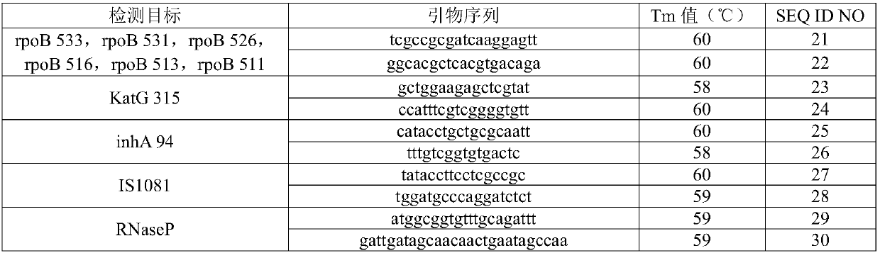 Nucleic acid reagent, kit, system and method used for detecting drug resistance of mycobacterium tuberculosis