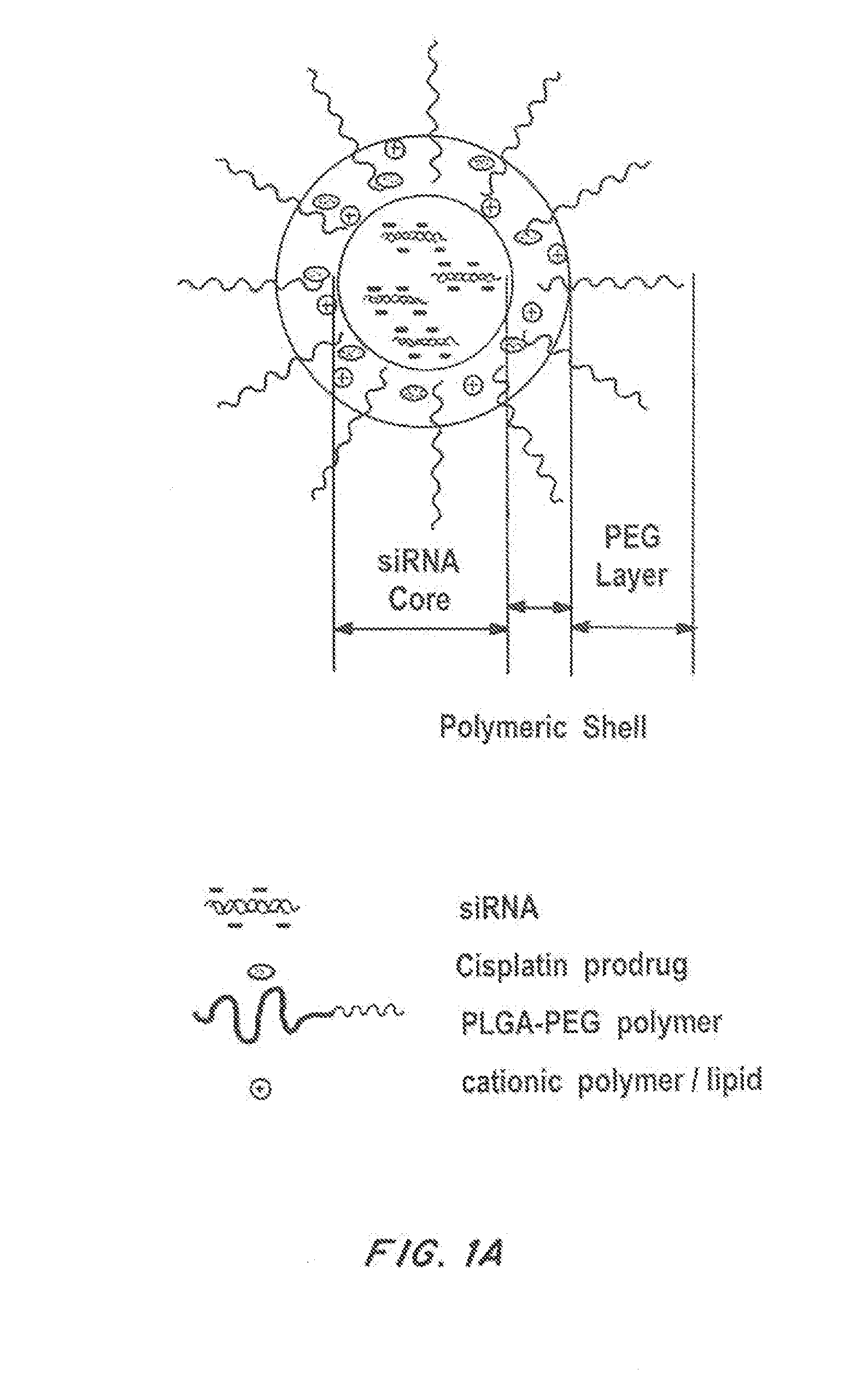 Cationic nanoparticles for co-delivery of nucleic acids and therapeutic agents