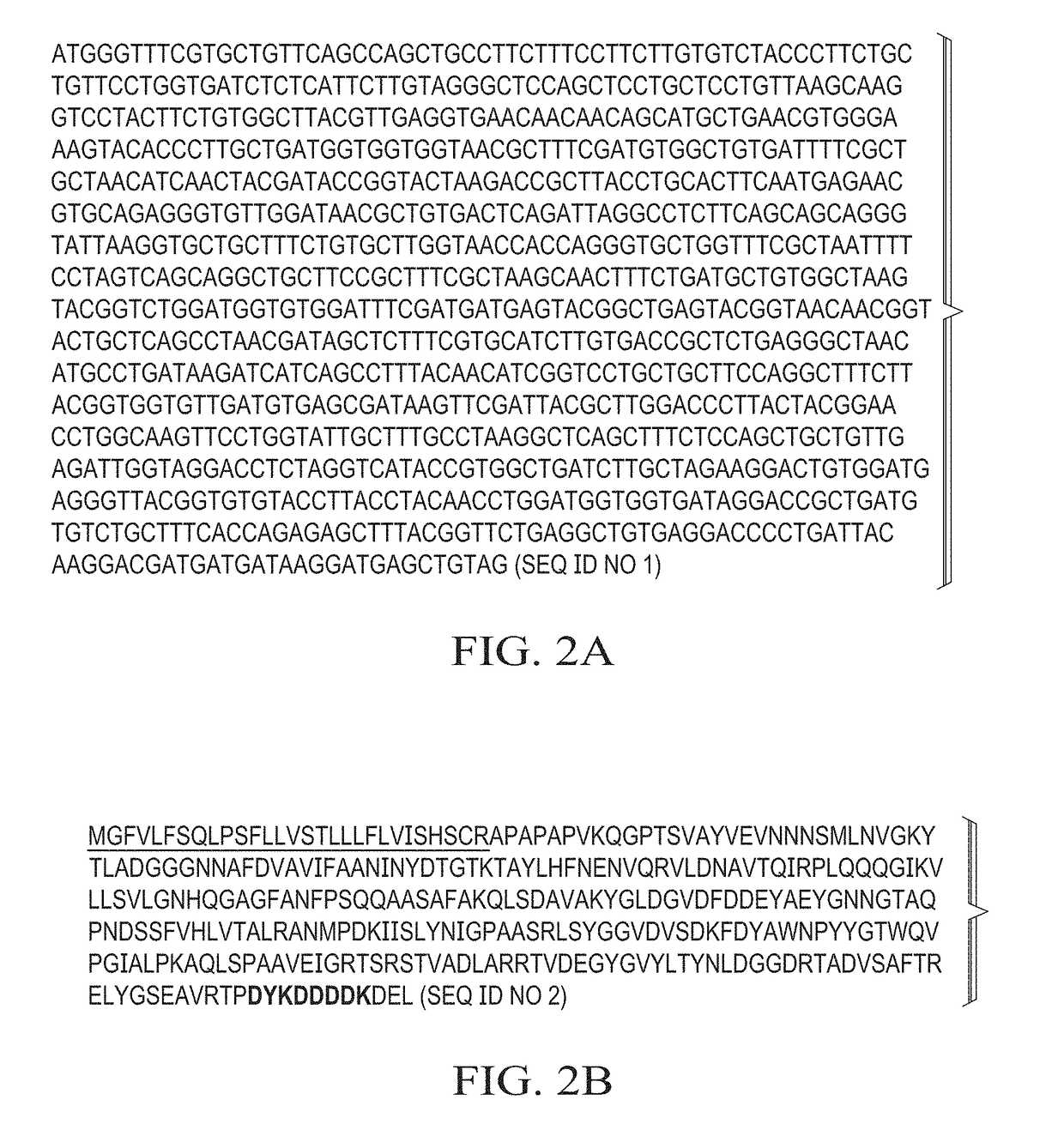 Production of in vivo n-deglycosylated recombinant proteins by co-expression with endo h