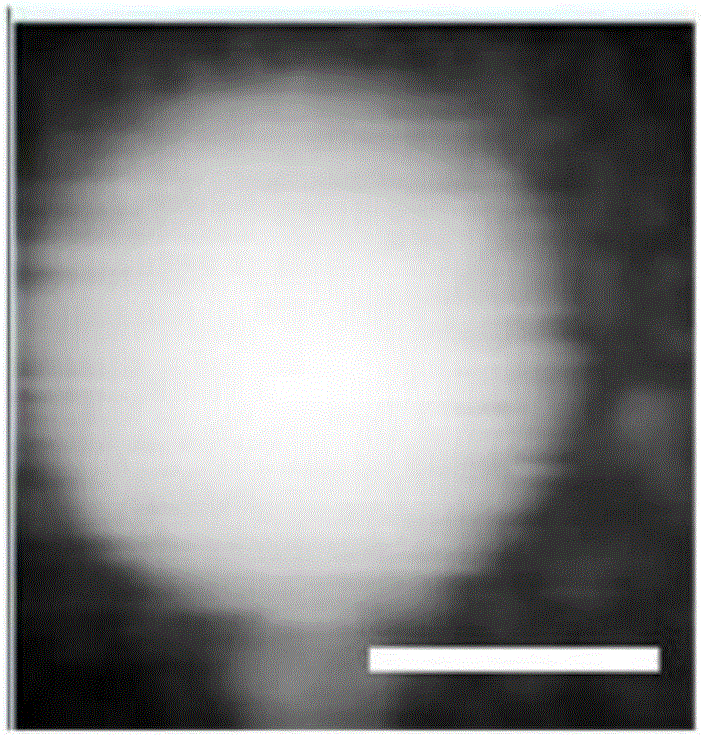 Application of copper-nickel nano alloys