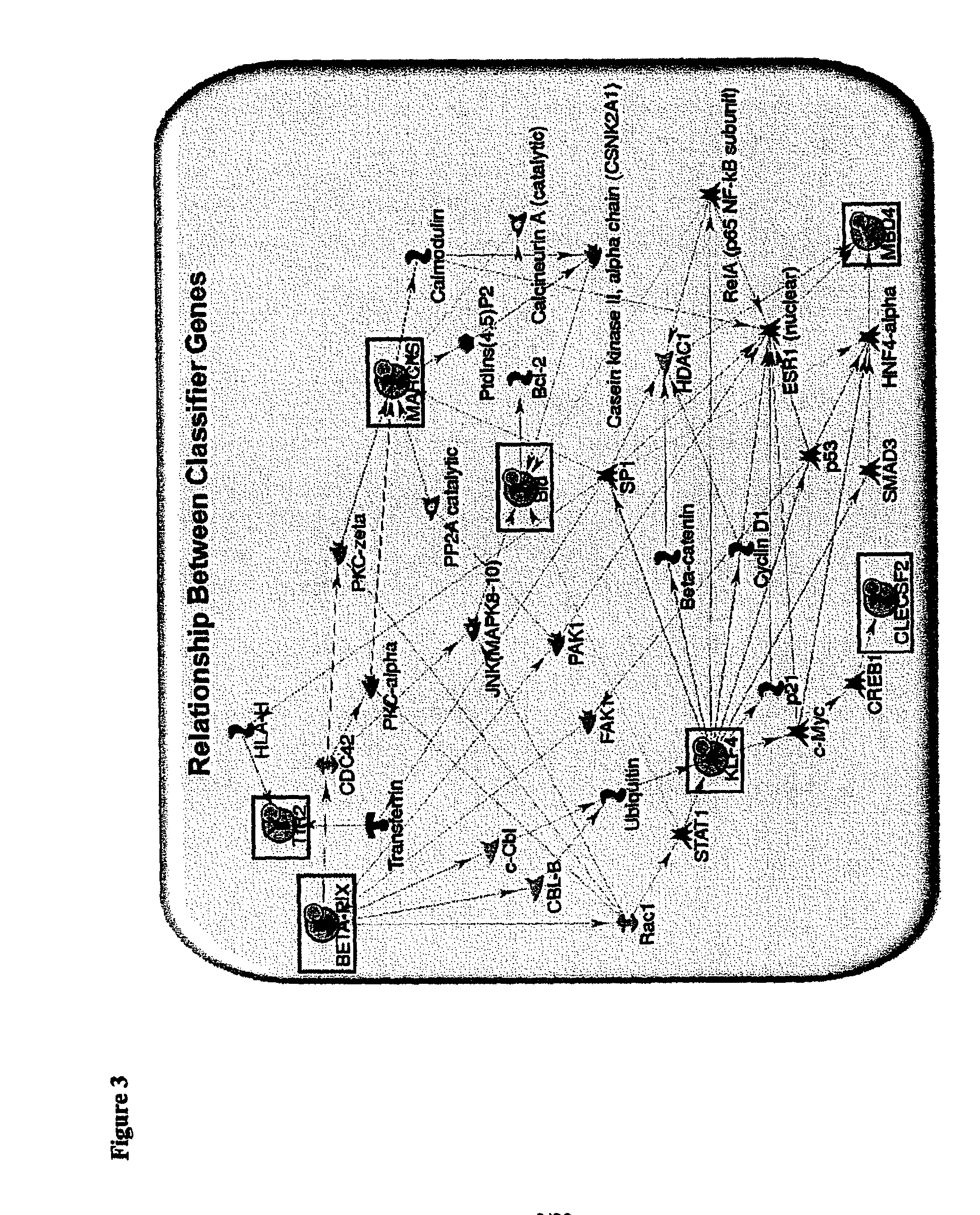 Methods of diagnosing acute cardiac allograft rejection