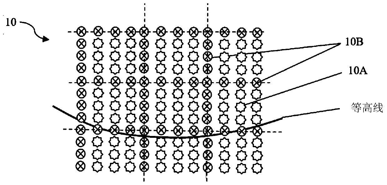 Method for promoting formation of uniform withered litter and humus layers in slope broad-leaved forest