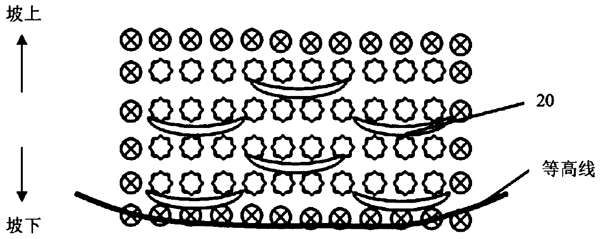 Method for promoting formation of uniform withered litter and humus layers in slope broad-leaved forest