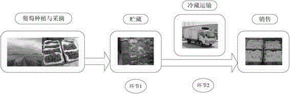 A method for tracking and monitoring grape cold chain logistics