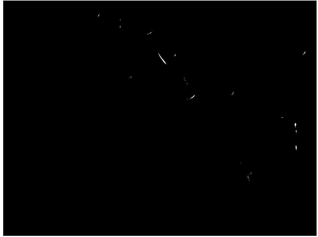 Method for preparing manganese dioxide/mesoporous carbon nanometer graded composite electrode material