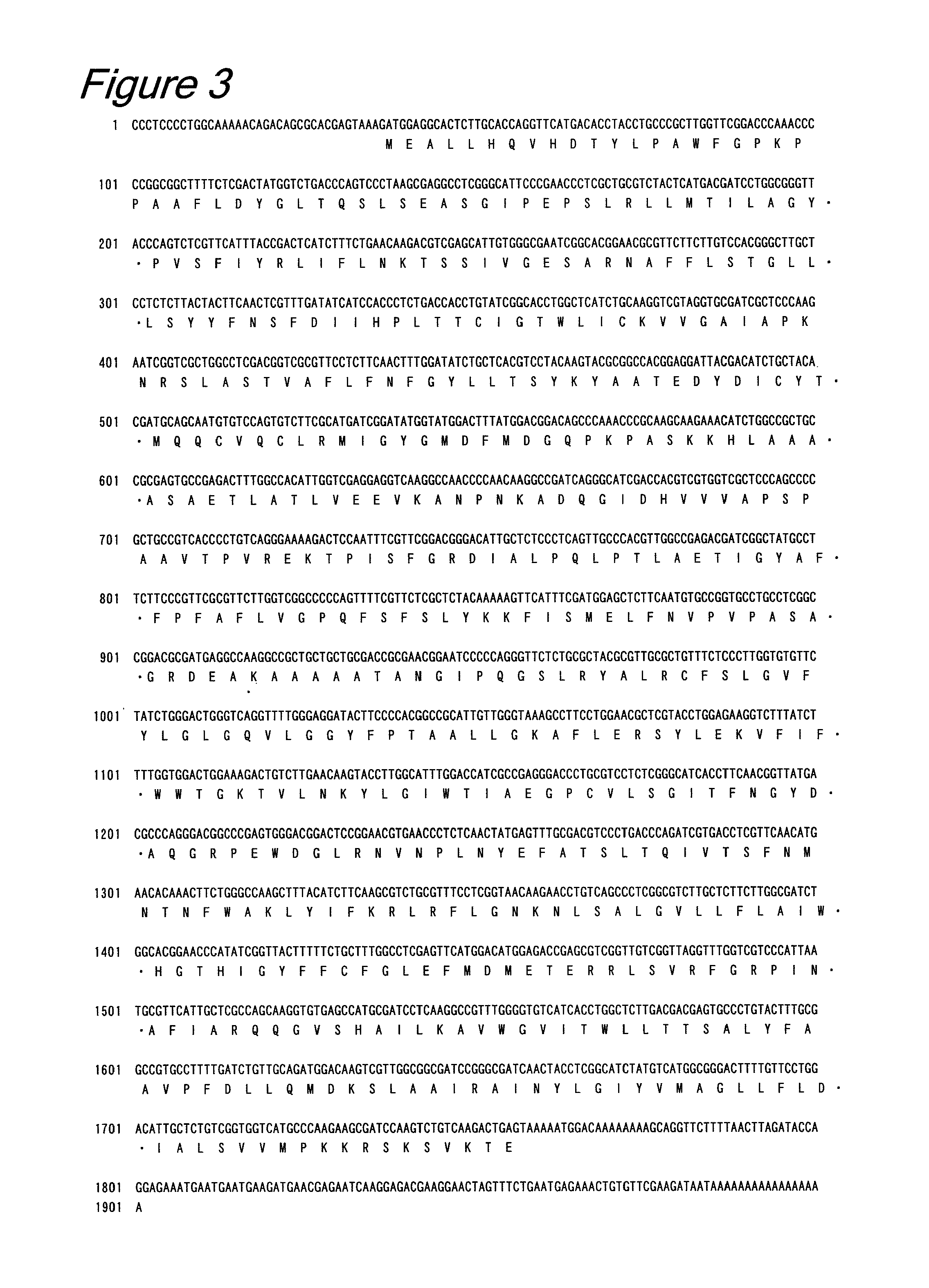 Lysophospholipid acyltransferase