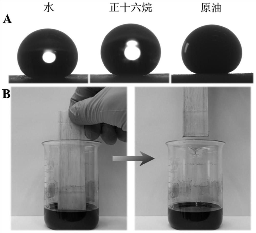 Super-amphiphobic composite coating capable of being repeatedly bonded and recycled as well as preparation and application thereof