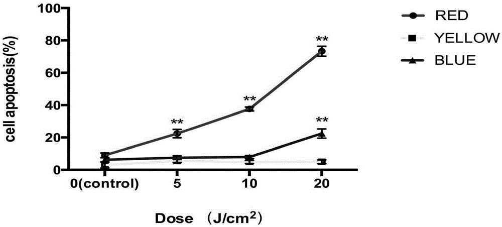 LED technology-based method for regulating melanocyte pigment synthesis