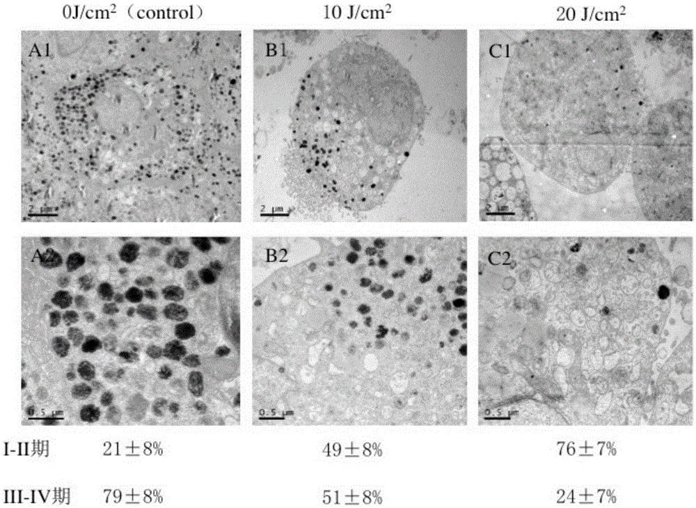 LED technology-based method for regulating melanocyte pigment synthesis