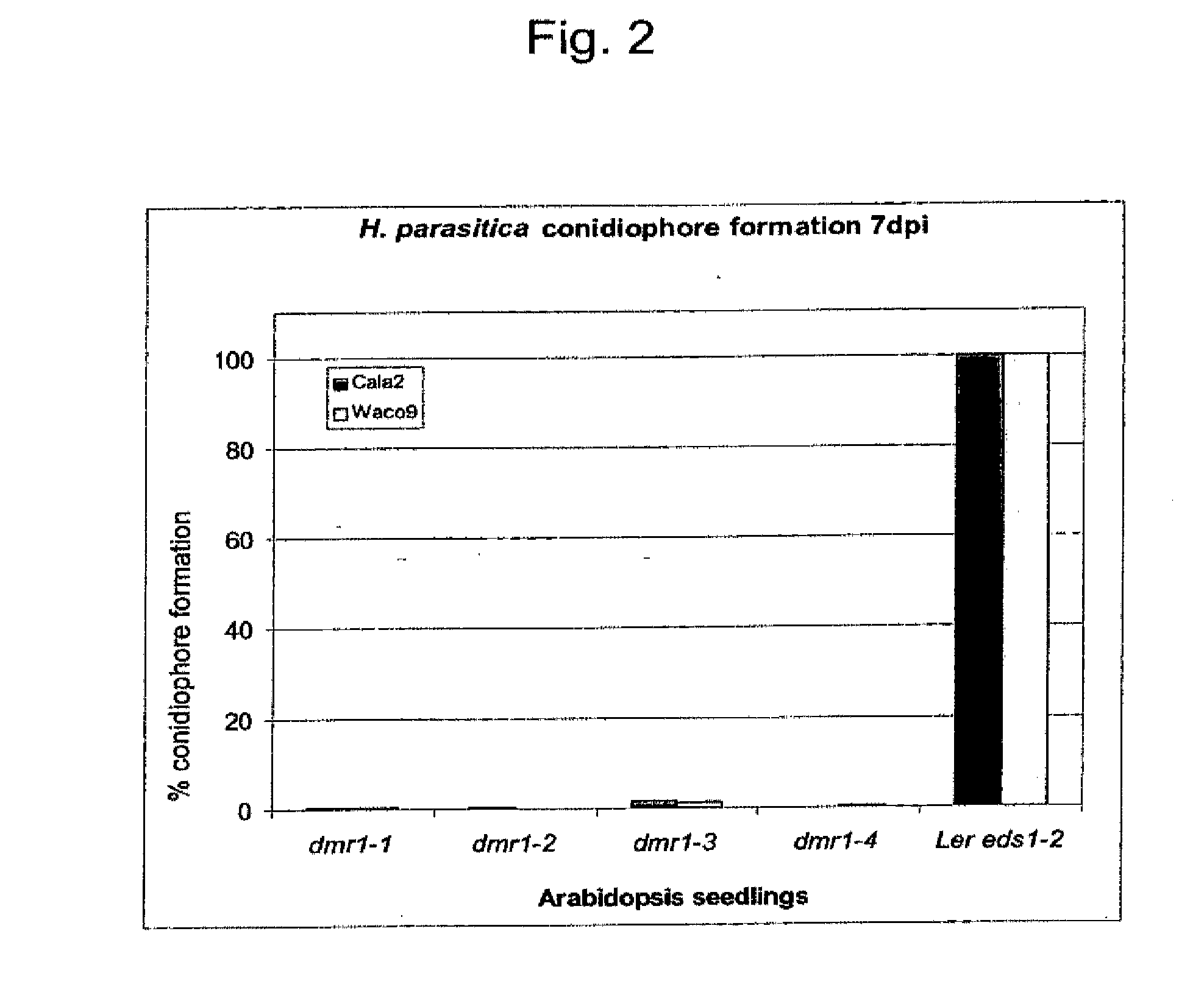 Disease Resistant Plants