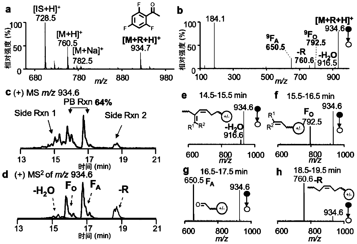 Method for applying acetophenone derivatives to unsaturated lipid analysis