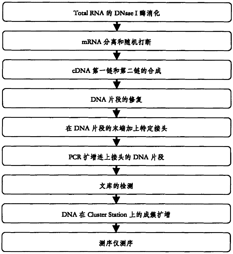 Method for obtaining gene information and functional genes from species without genome reference sequence