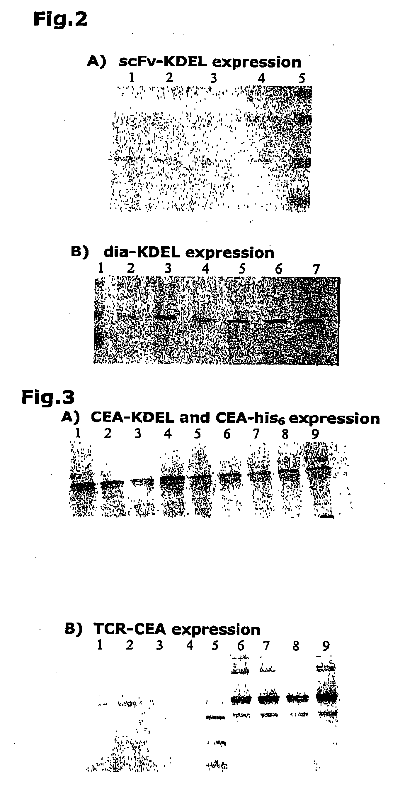 Complex formation for the stabilisation and purification of proteins of interest