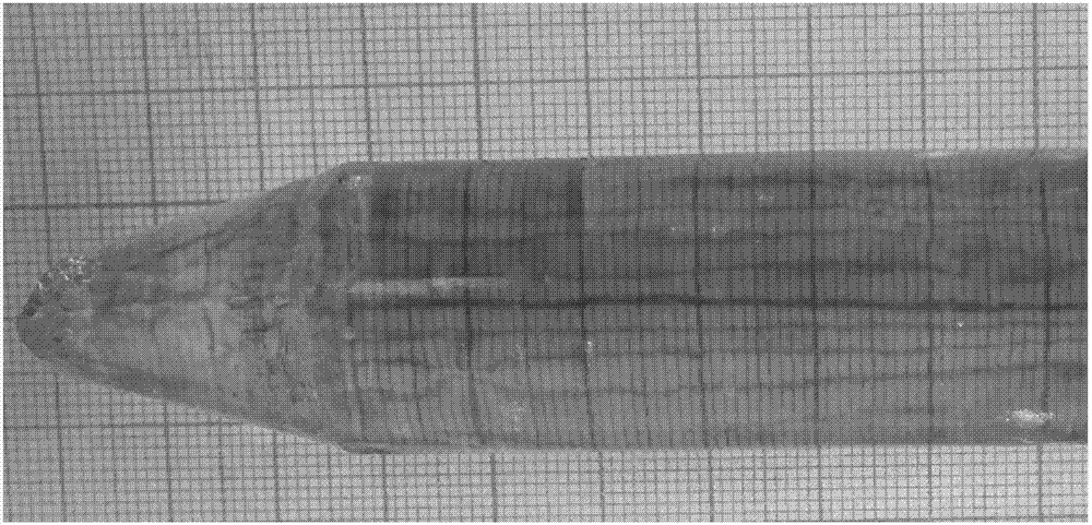 Neodymium-ion-doped bivalent cation fluoride laser crystal and preparation method thereof