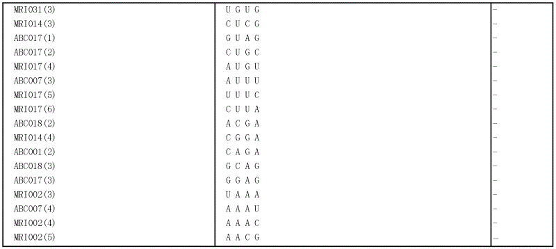 Novel endoribonuclease