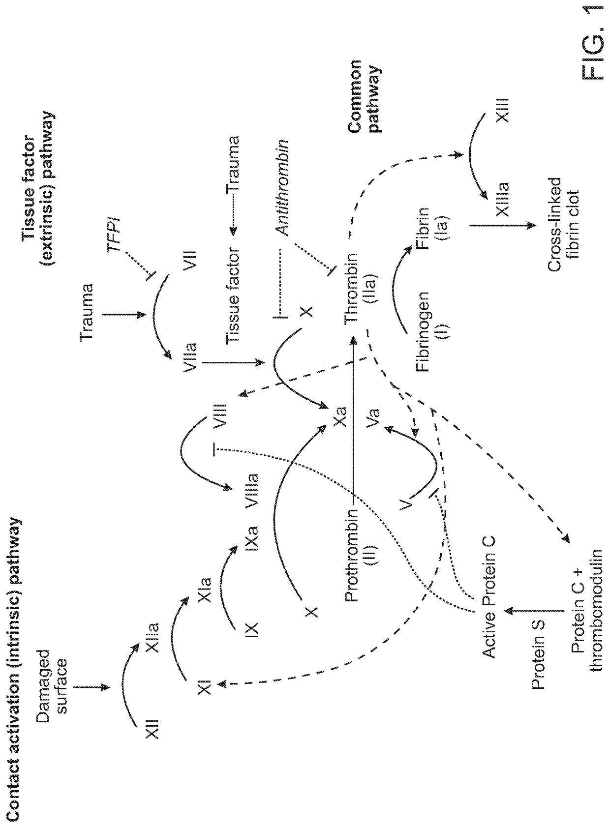 Polynucleotide agents targeting serpinc1 (AT3) and methods of use thereof