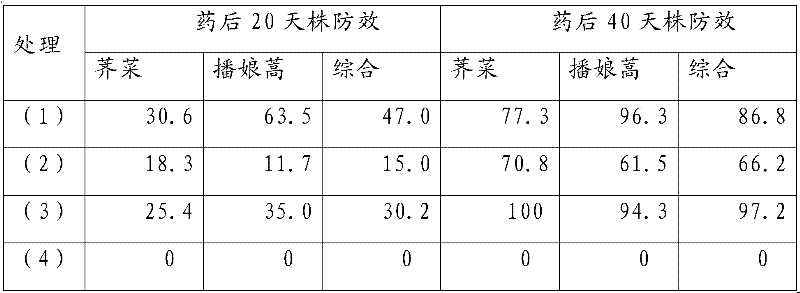 Binary compound herbicide in wheat field and using method thereof