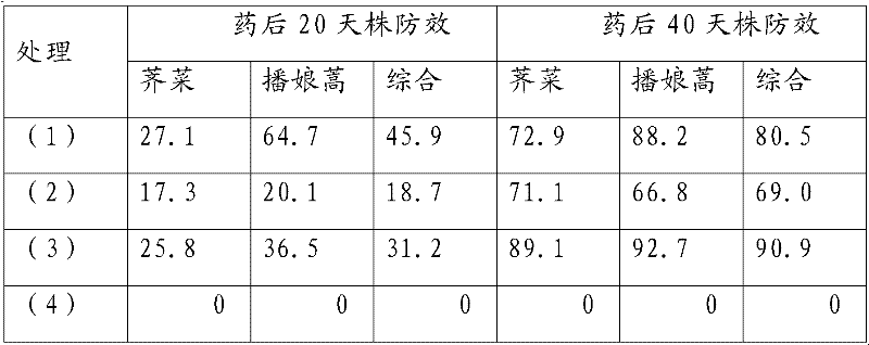 Binary compound herbicide in wheat field and using method thereof