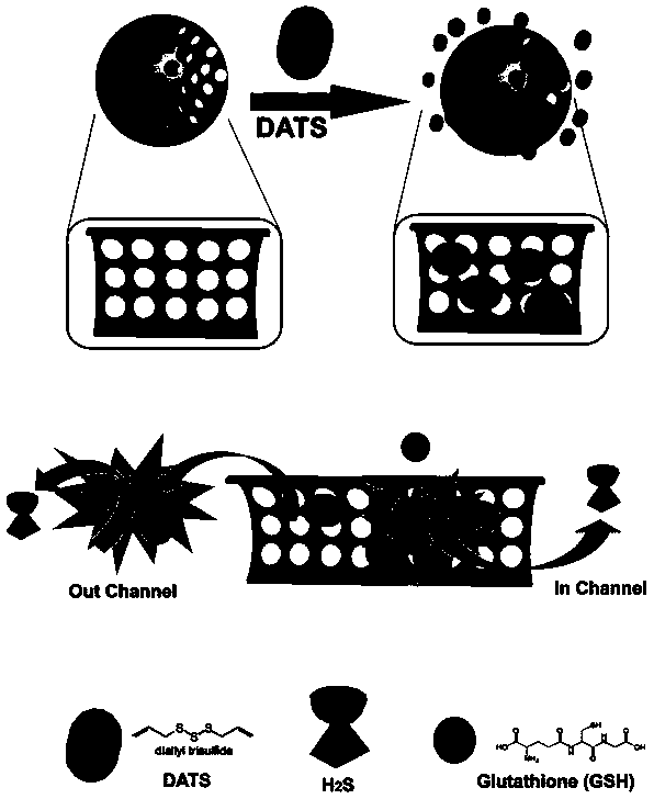 Controlled-release hydrogen sulfide donor as well as preparation method and application thereof