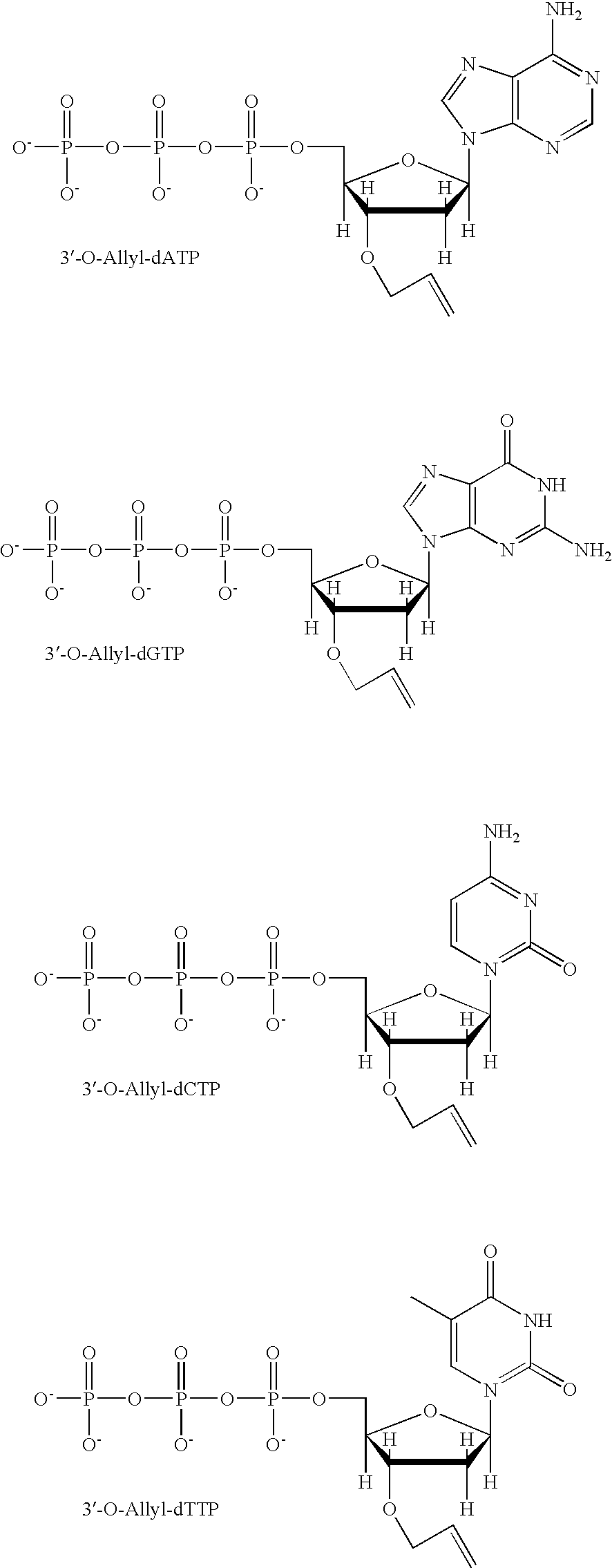 Pyrosequencing Methods and Related Compositions