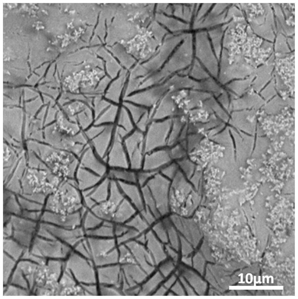 Titanium-based anode and preparation method and application thereof