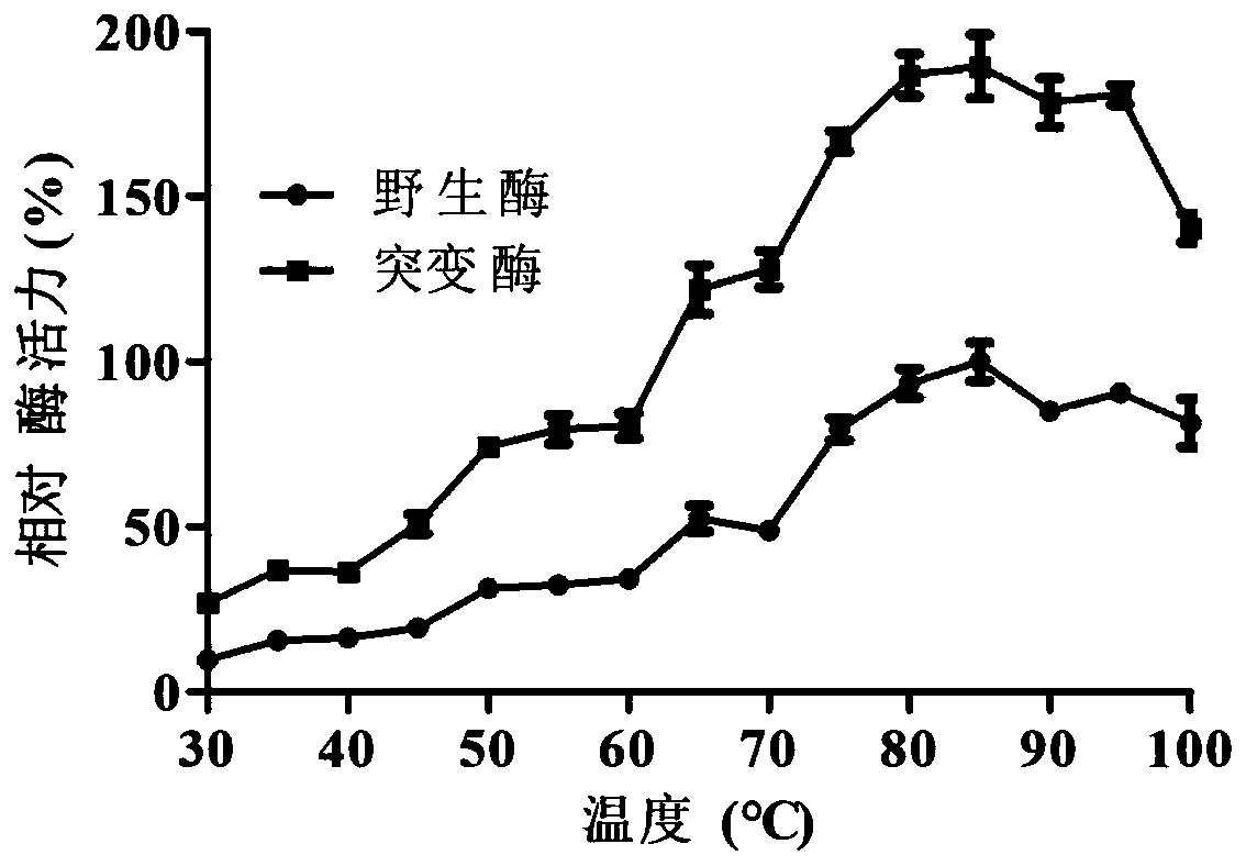 Site-directed mutation modified lytic polysaccharide monooxygenase as well as construction method and application thereof