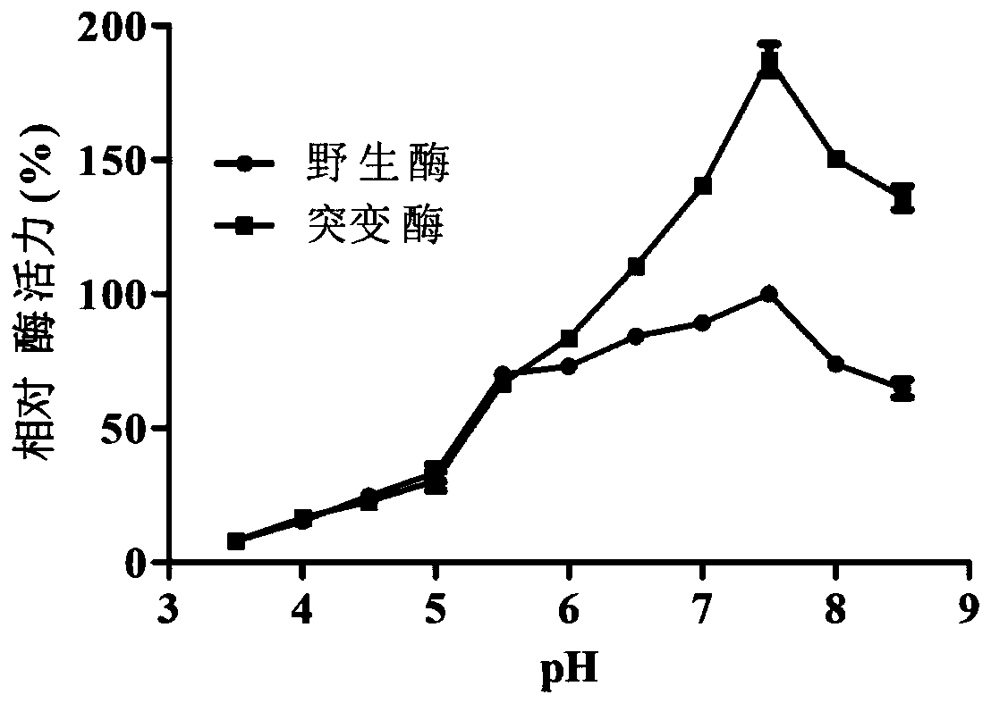 Site-directed mutation modified lytic polysaccharide monooxygenase as well as construction method and application thereof