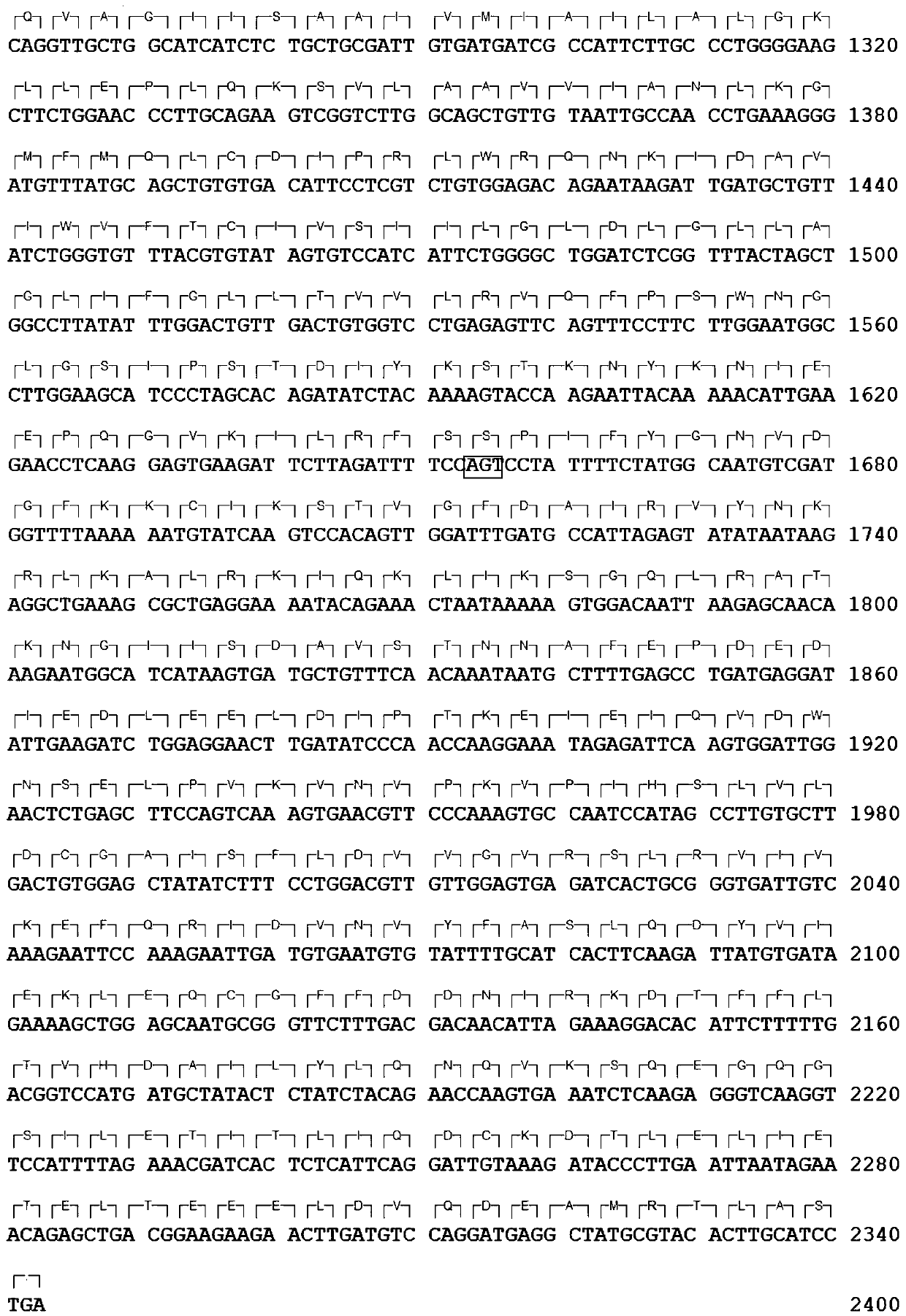 Large vestibular aqueduct syndrome/Pendred syndrome infective gene SLC26A4 mutation detection reagent kit