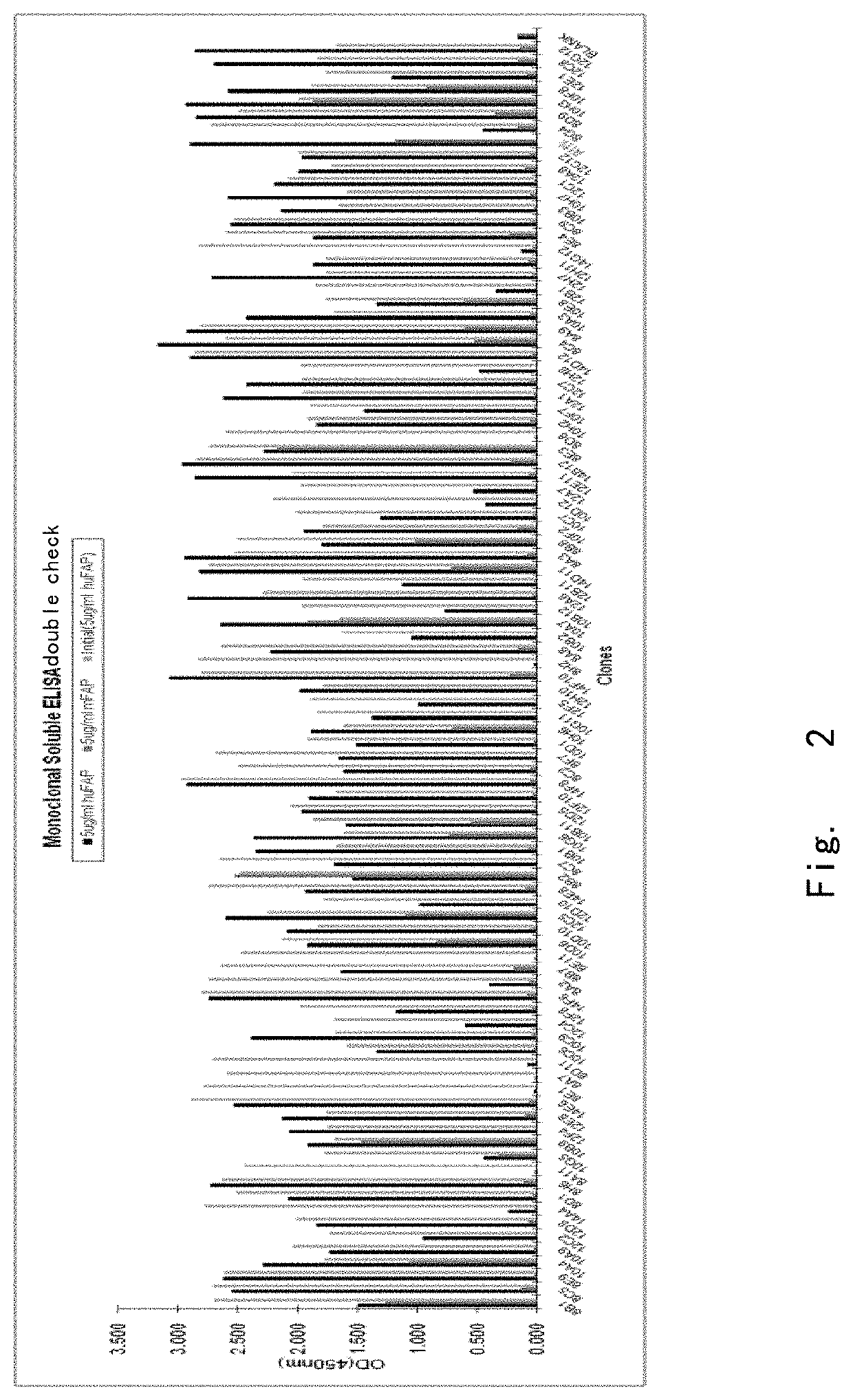 Binding unit targeting fibroblast activation protein α and application thereof