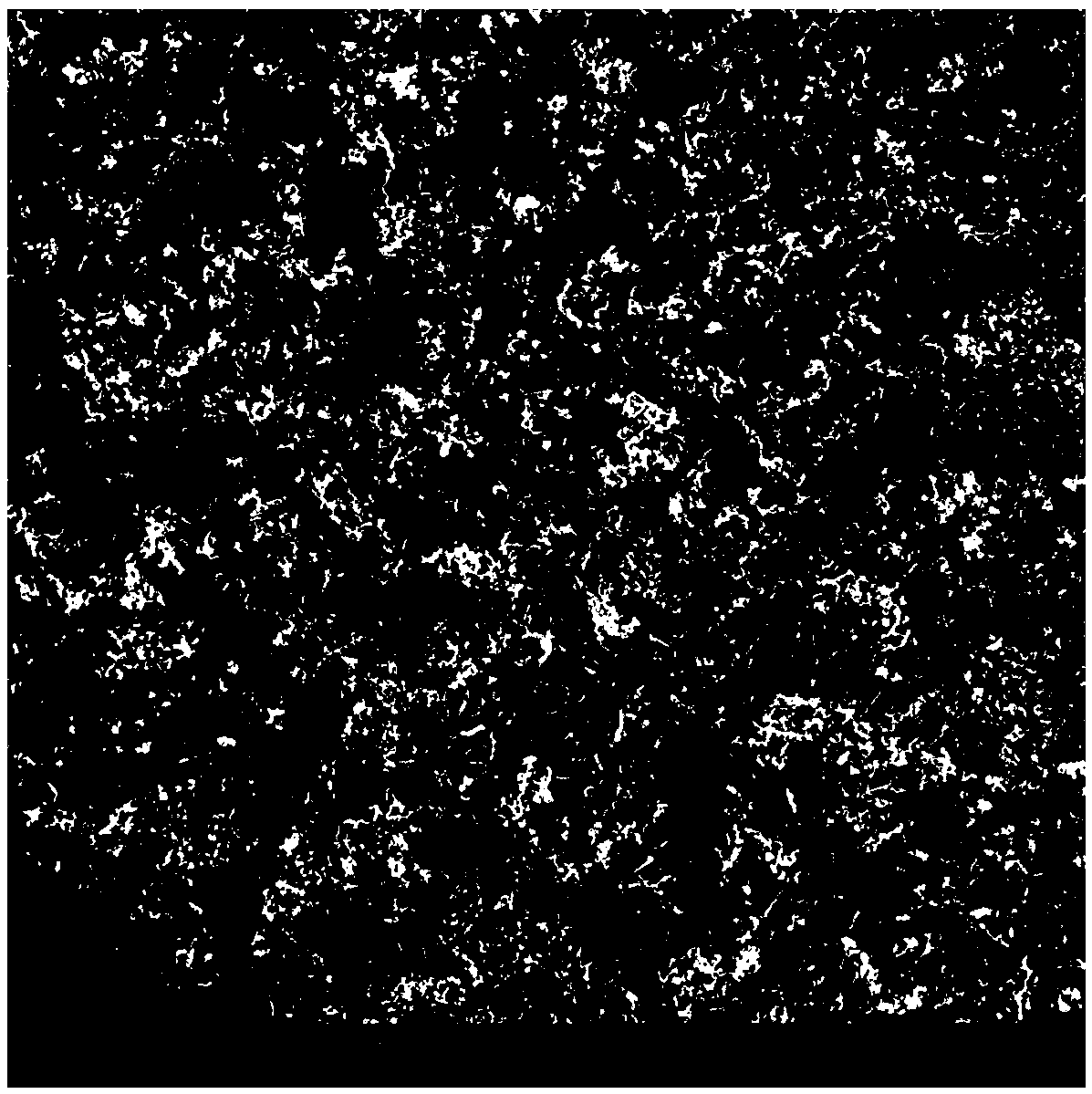 Preparation method of N-doped carbon nanotube/nickel cobalt oxide/N-doped porous carbon