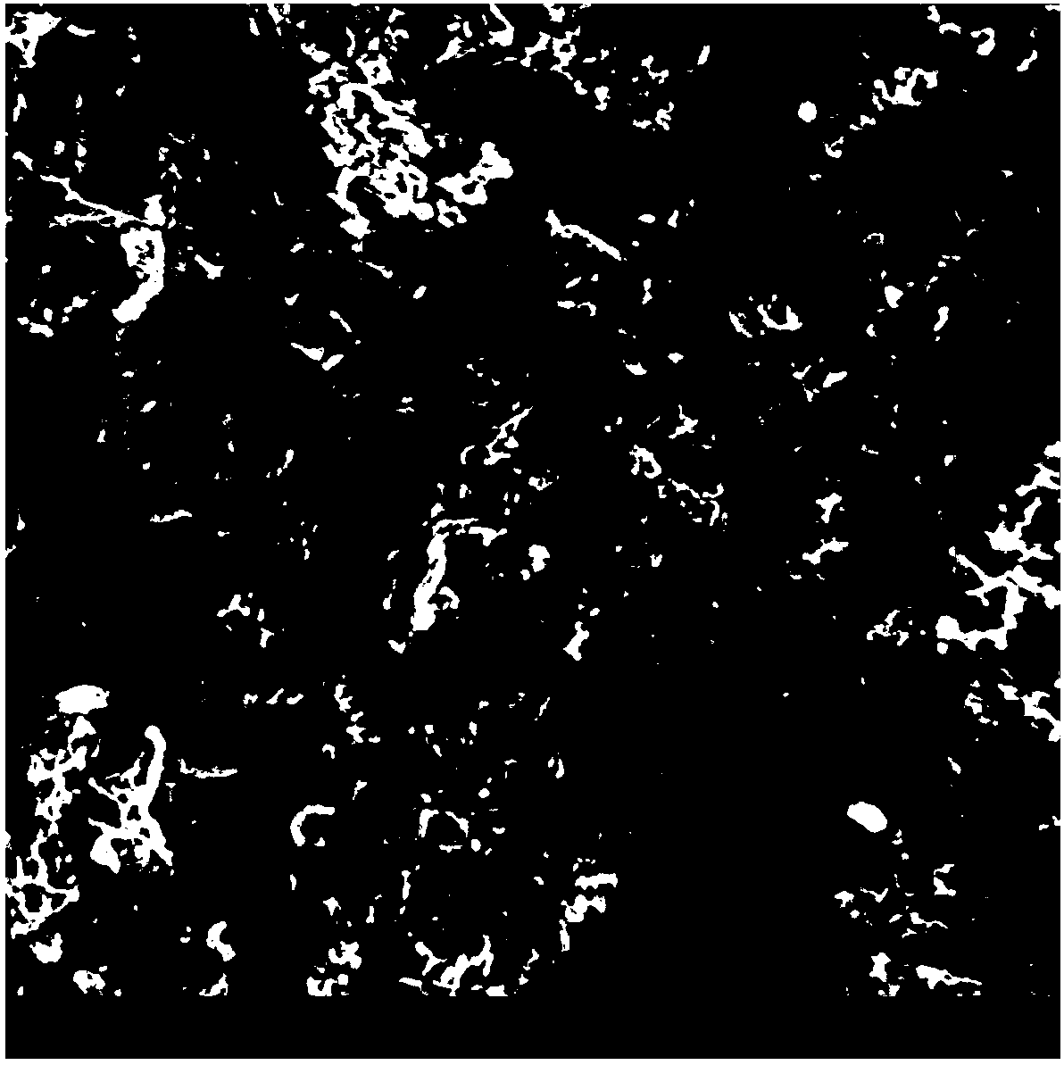 Preparation method of N-doped carbon nanotube/nickel cobalt oxide/N-doped porous carbon