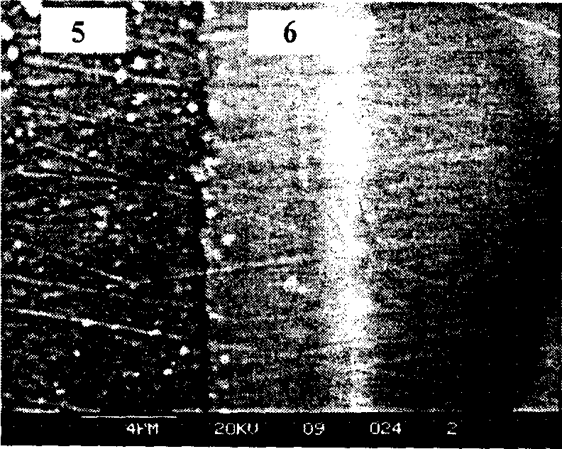 Method for making sample of chemical deposited nickel fixed alloy powder for transmission electron microscope observing