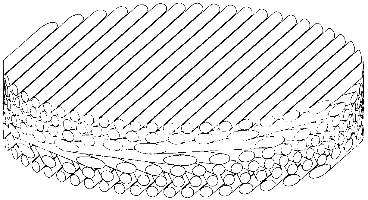 Preparation method of helically oriented nanofiber array