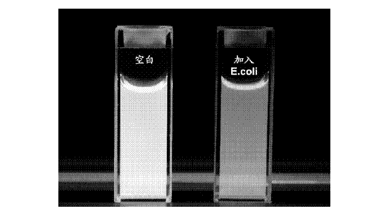 Method for evaluating antimicrobial susceptibility of drugs