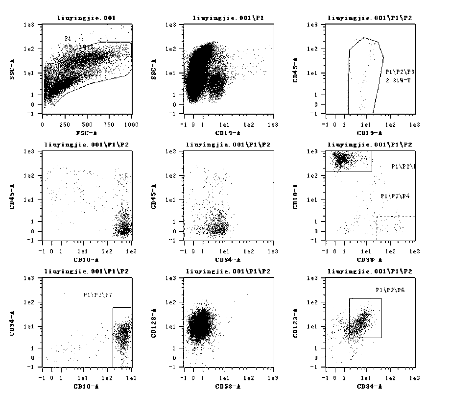 Kit for detecting related immunophenotyping of B-cell acute lymphoblastic leukemia and application thereof