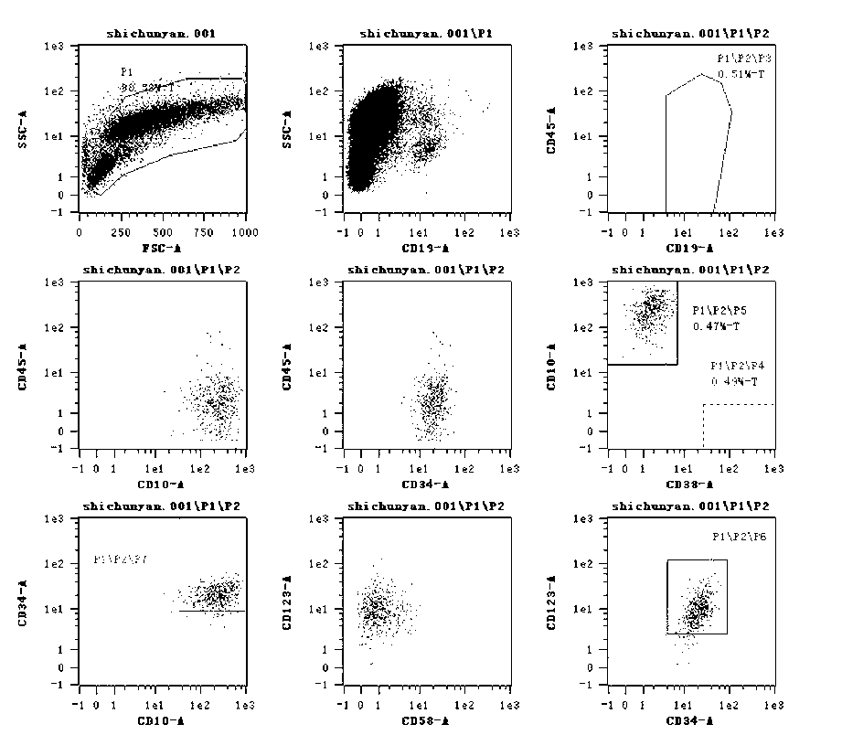 Kit for detecting related immunophenotyping of B-cell acute lymphoblastic leukemia and application thereof