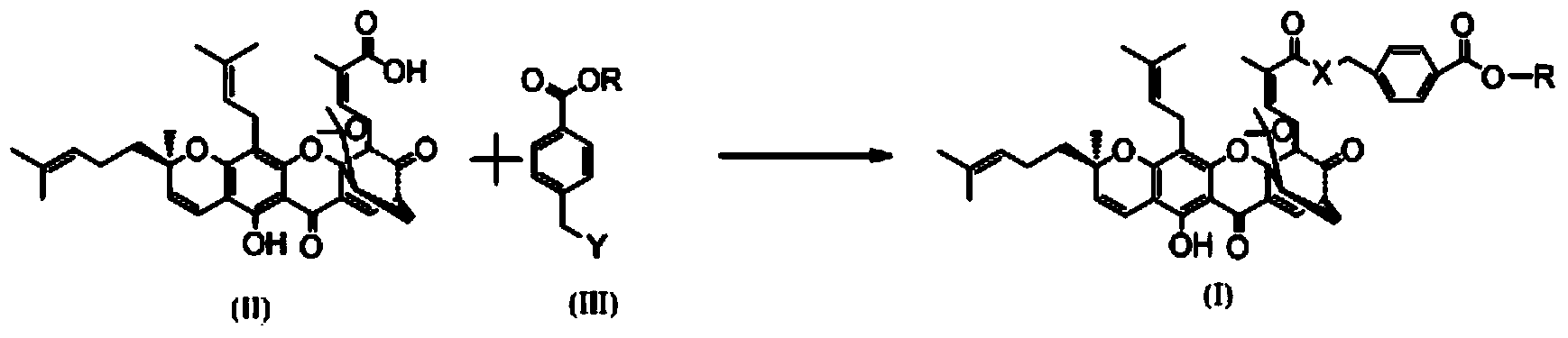 Gambogic acid derivative, preparation method and uses thereof