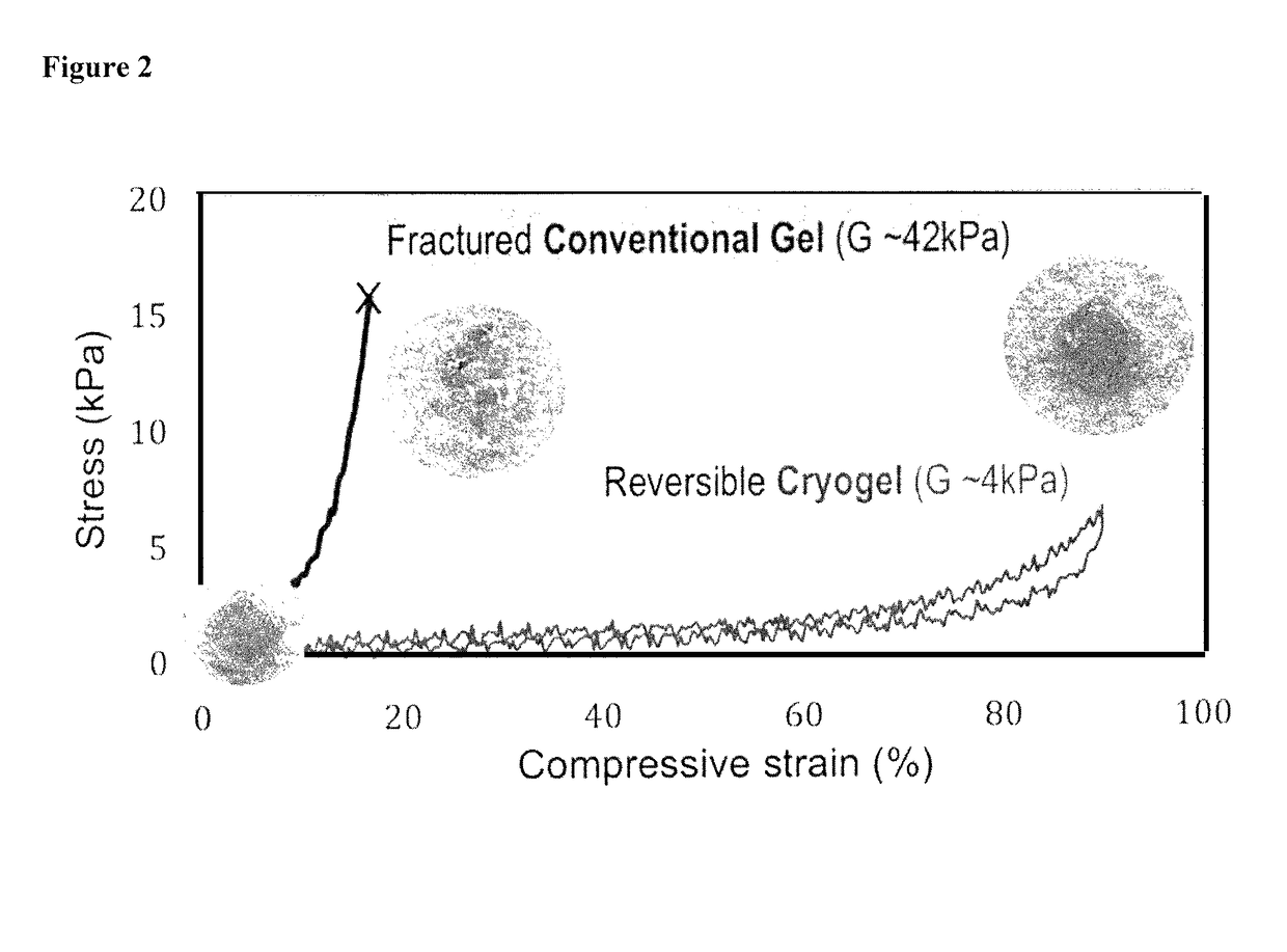 Injectable cryogel vaccine devices and methods of use thereof