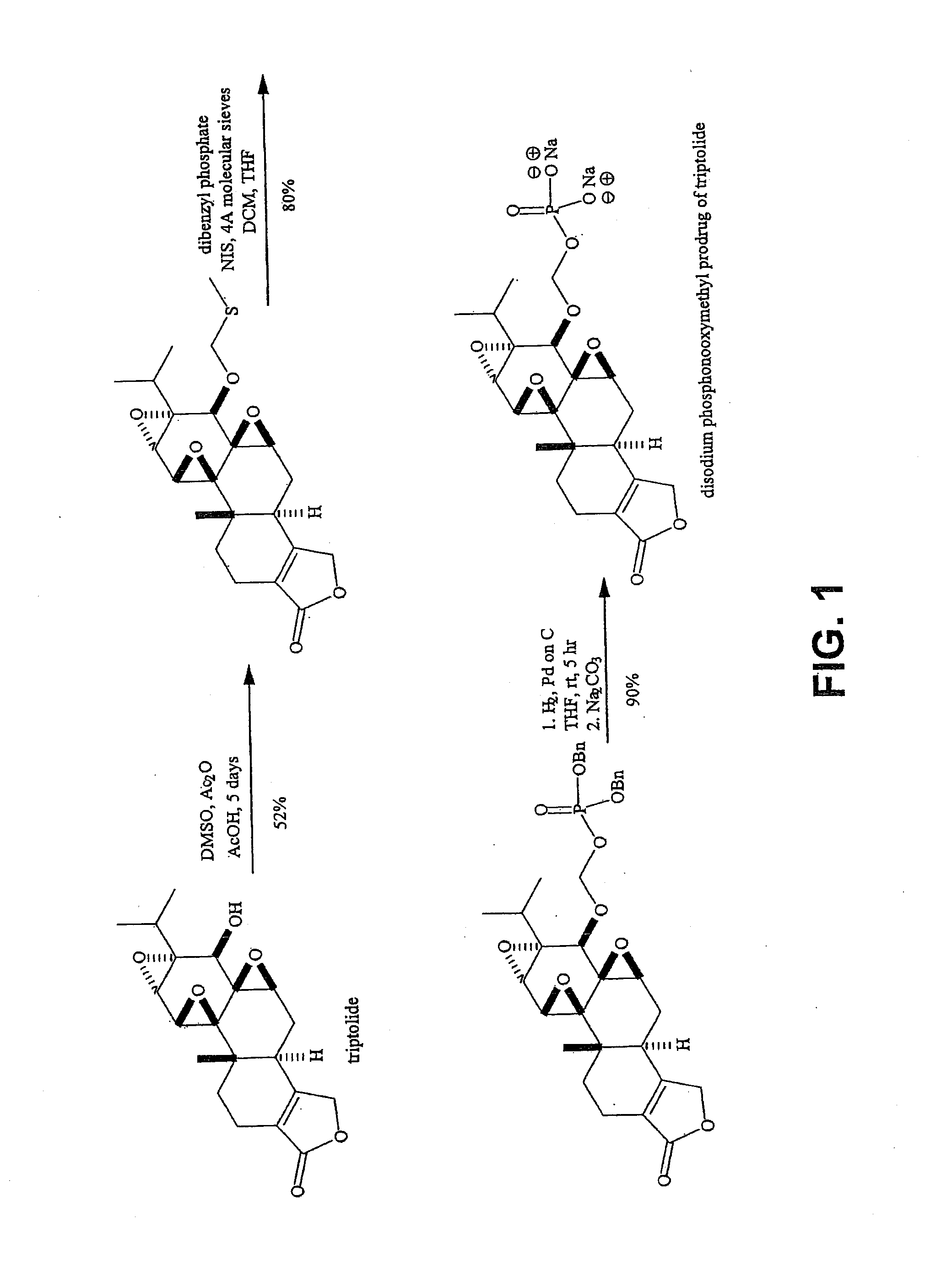 Triptolide prodrugs