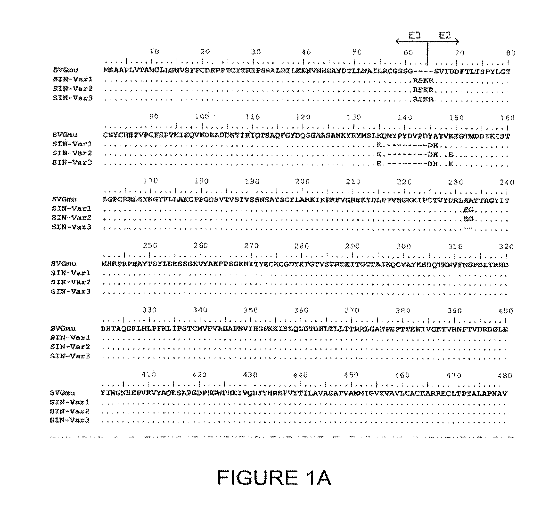 Lentiviral Vectors Pseudotyped with a Sindbis Virus Envelope Glycoprotein