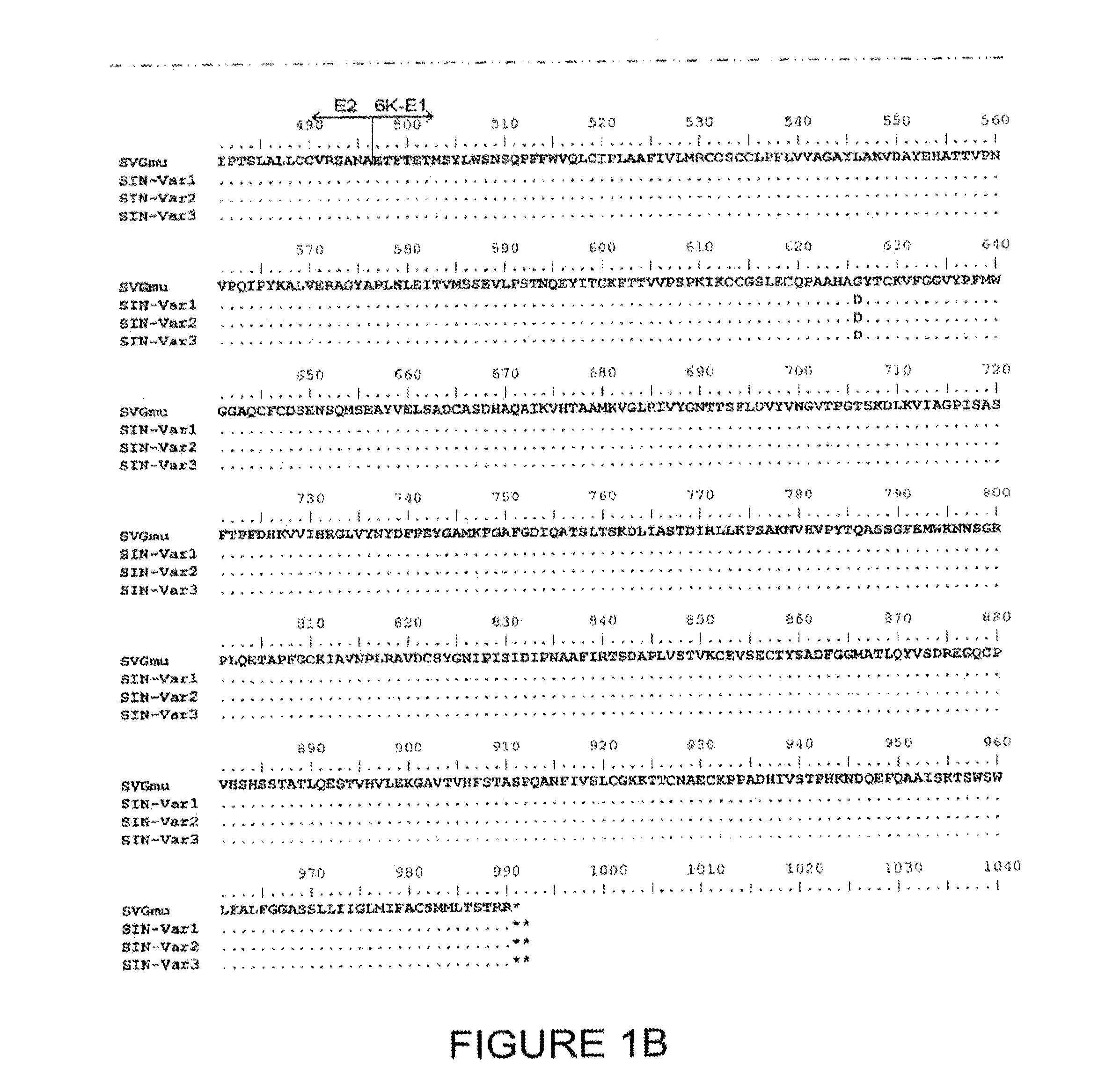 Lentiviral Vectors Pseudotyped with a Sindbis Virus Envelope Glycoprotein