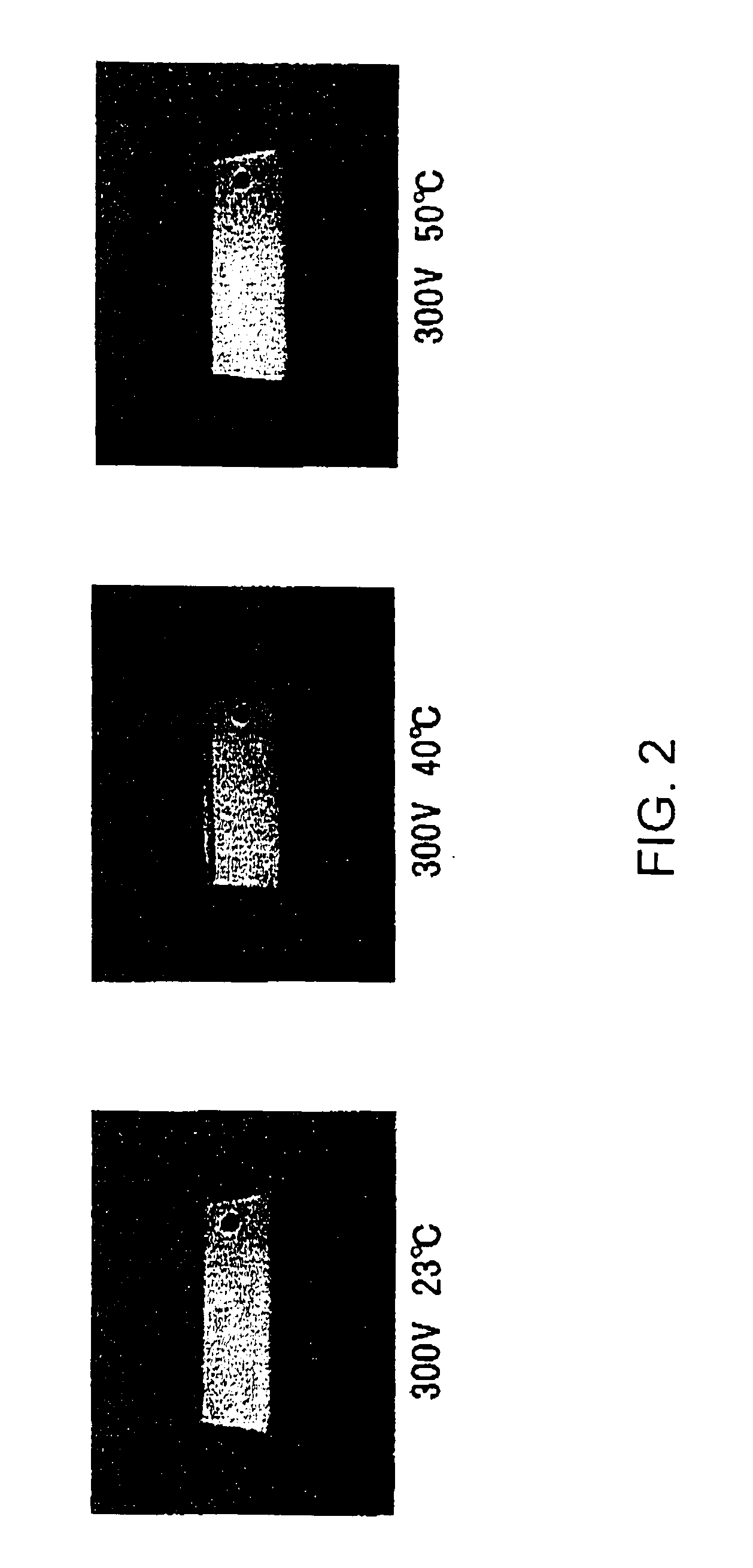 Metal member having a metal oxide film and method of manufacturing the same